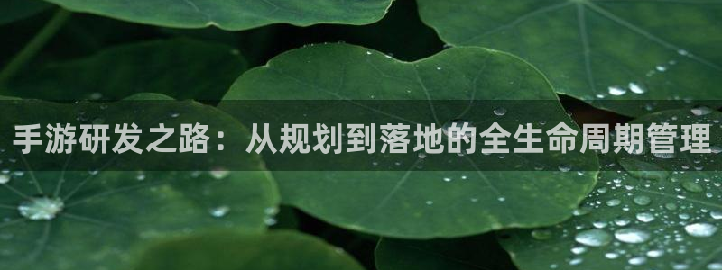 V8娱乐：手游研发之路：从规划到落地的全生命周期管理