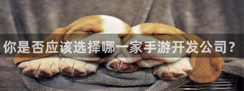 V8娱乐网：你是否应该选择哪一家手游开发公司？