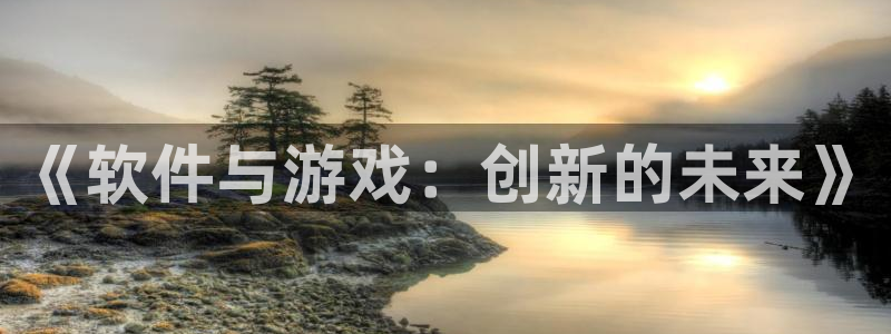 V8娱乐登录：《软件与游戏：创新的未来》