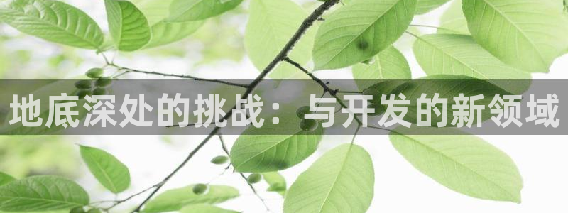 V8娱乐网：地底深处的挑战：与开发的新领域