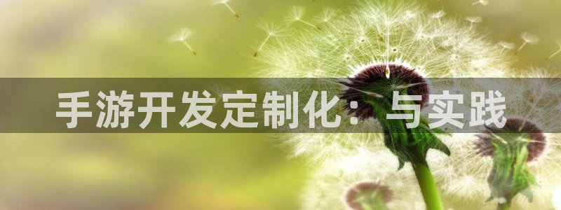 V8娱乐平台：手游开发定制化：与实践