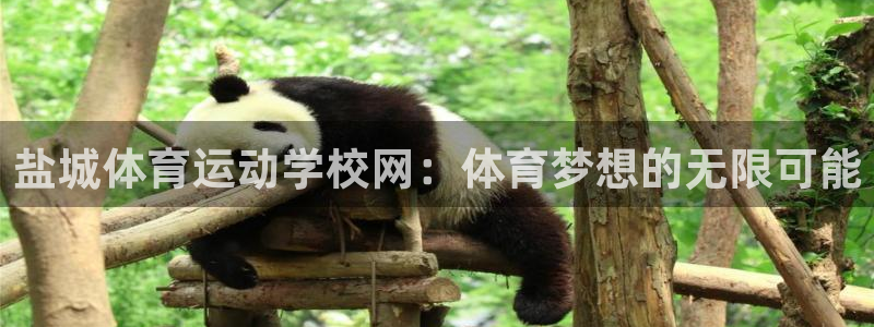 三亿体育：盐城体育运动学校网：体育梦想的无限可能