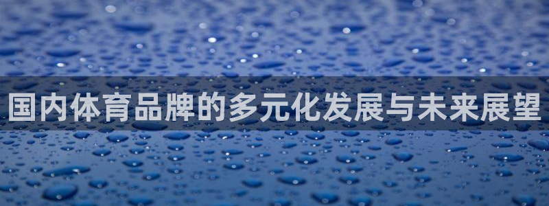三亿体育网页版
