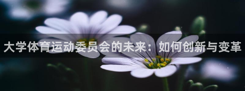 三亿体育：大学体育运动委员会的未来：如何创新与变革