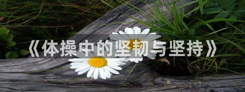 三亿体育网：《体操中的坚韧与坚持》