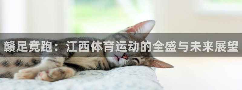 三亿体育：赣足竞跑：江西体育运动的全盛与未来展望